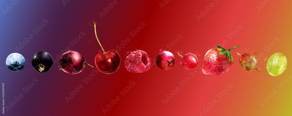Watercolor collection of berries on white background Watercolor collection of berries on white background
