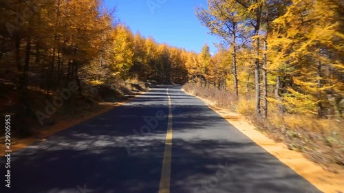 Driving on the chinese Route 66(grass skyline) at autumn, Zhangjiakou, China photo
