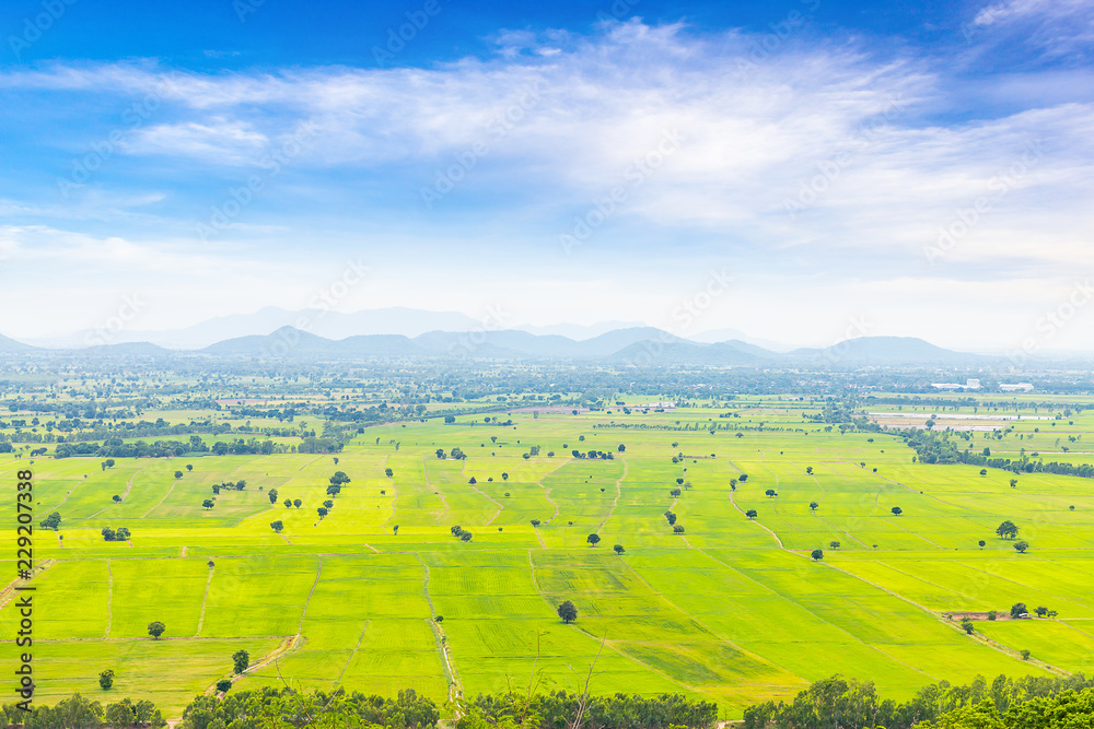 Beautiful landscape of rice green field and blue sky in Thailand