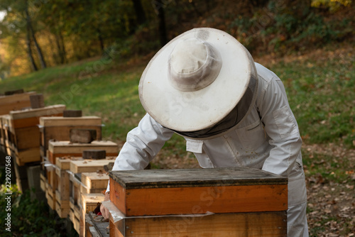 Imker beim kontrollieren der Bienen im Herbst photo