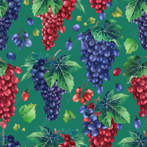 Fototapeta Naklejka Na Ścianę i Meble -  Watercolor pattern of red and blue grapes bunches