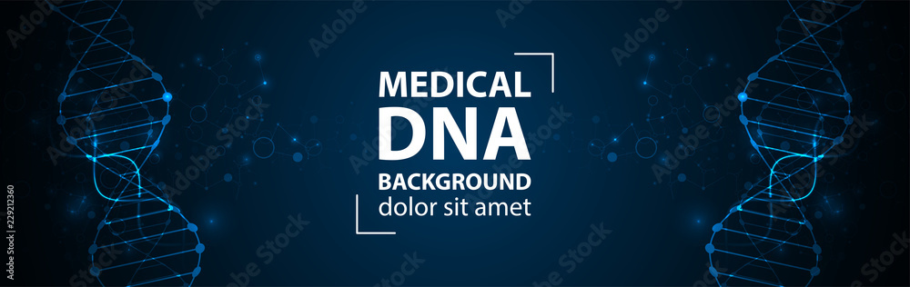 Obraz premium Science template, wallpaper or banner with a DNA molecules. Vector illustration.