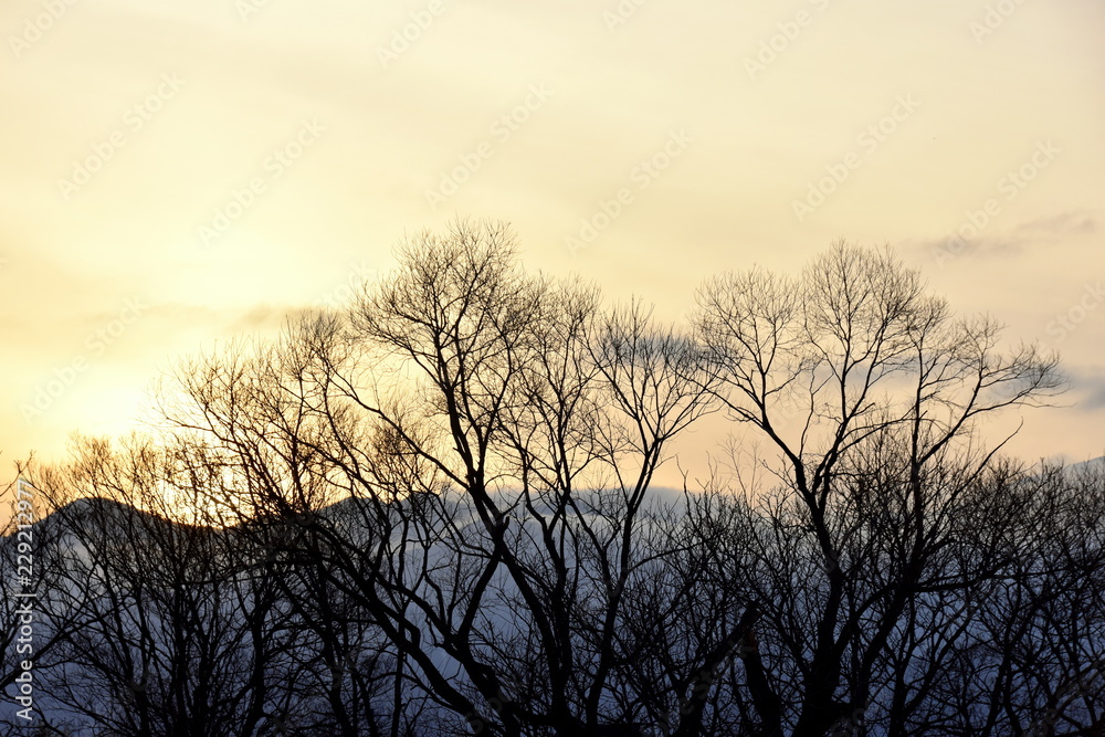 冬の安曇野の夕景