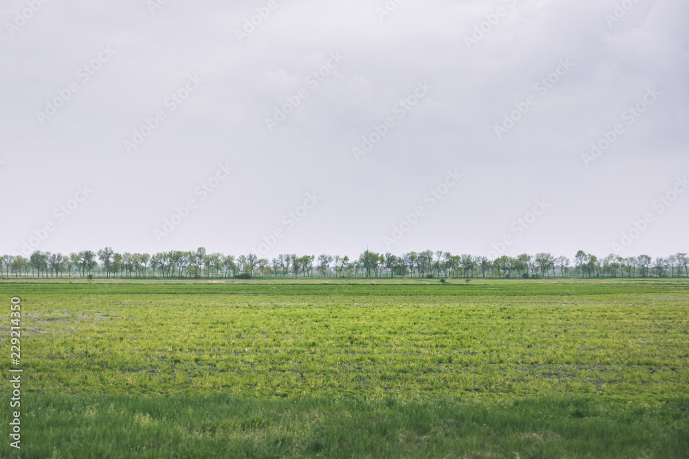 Farmland in the spring with cloudy sky