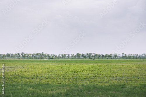 Farmland in the spring with cloudy sky