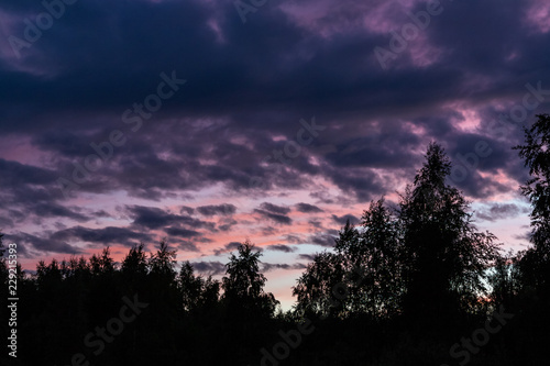 Beautiful dramatic clouds in the sky at sunset over the edge of the forest