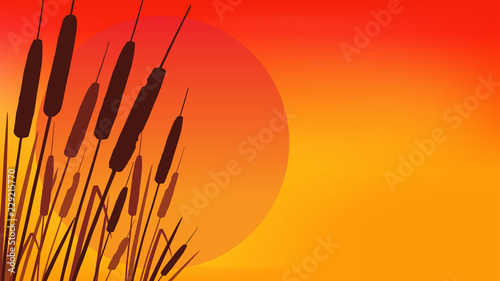 Summer Sunset. Summer Vector background in 16:9 aspect ratio.