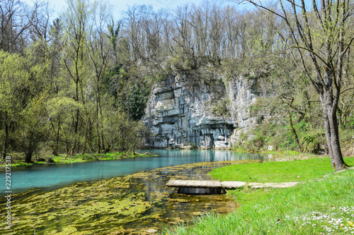 Krupa Spring (Izvir Krupa) in Bela Krajina, southern Slovenia, is a big karst spring below rock wall. It is protected as natural heritage and special habitat of water spices. photo