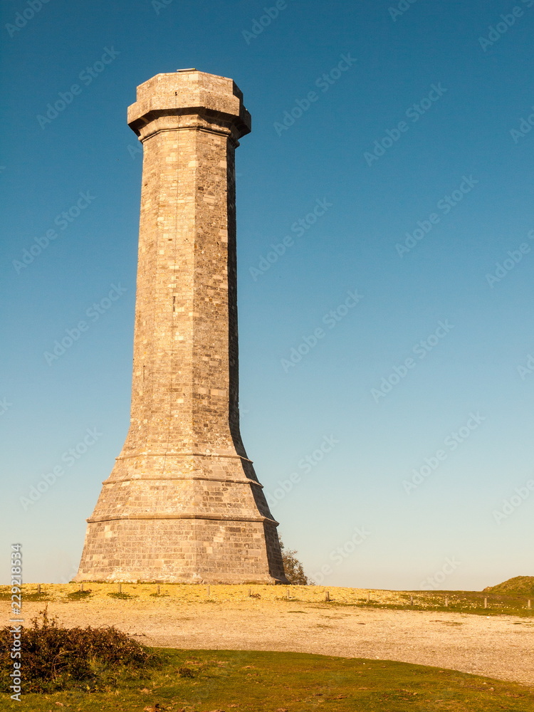 hardy monument tall building old special england dorset black down
