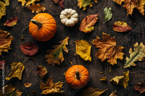 Different autumn leaves and pumpkin over old background. Autumn background. Top view.
