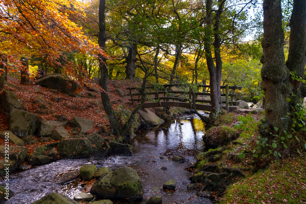 Bridge in Padley Gorge woodland in autumn, beautiful colours of the Peak District Bridge in Padley Gorge woodland in autumn, beautiful colours of the Peak District