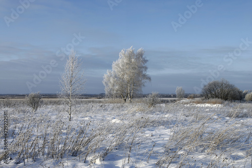 Зима/Winter © Эдуард Лазарев