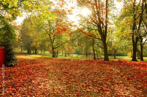 An image of a sunny Autumn scene.