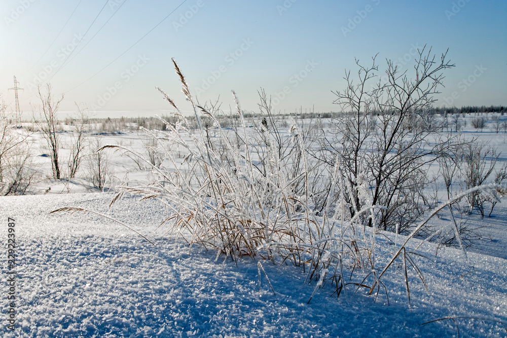 Зима/Winter Зима/Winter