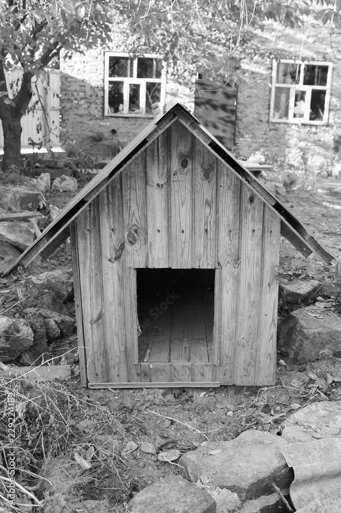Obraz premium House for dogs. Black and white photo