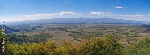 Panoramic view of the Alazani Valley. One of the main areas of viticulture of Georgia. Center of the Georgian wine industry. Nature and travel. Kakheti region