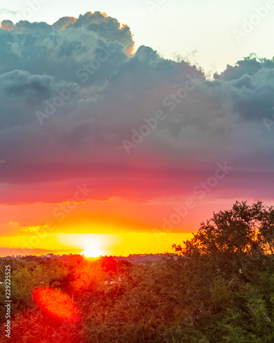 Sunset with lens flare over trees © Daniel