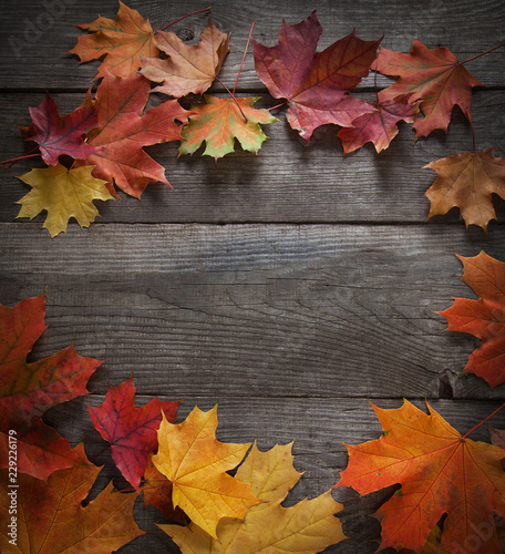 autumn leaf on wood background  top view 