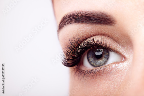 Fototapeta Naklejka Na Ścianę i Meble -  Female Eye with Extreme Long False Eyelashes. Eyelash Extensions. Makeup, Cosmetics, Beauty. Close up, Macro
