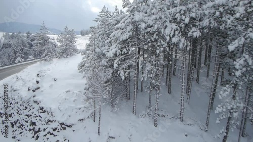 Wallpaper Mural Aerial view on beautiful mountain and forest trees covered with snow. Torontodigital.ca