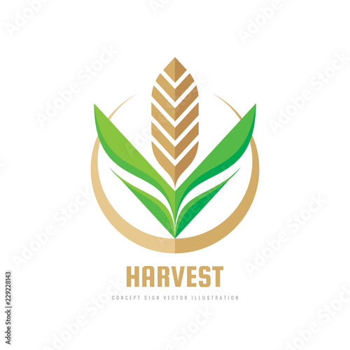 Harvest - concept business logo template vector illustration. Wheat geometric creative sign. Abstract agriculture symbol. Graphic design element.