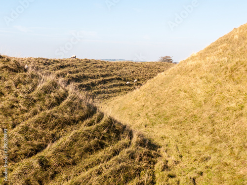 maiden castle iron age old fortress landscape nature grassland animals space beauty natural sheep