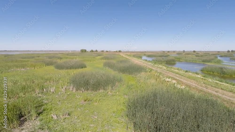 Drone Over Wetland Grass And Water With Dirt Road And Blue Sky Drone Over Wetland Grass And Water With Dirt Road And Blue Sky