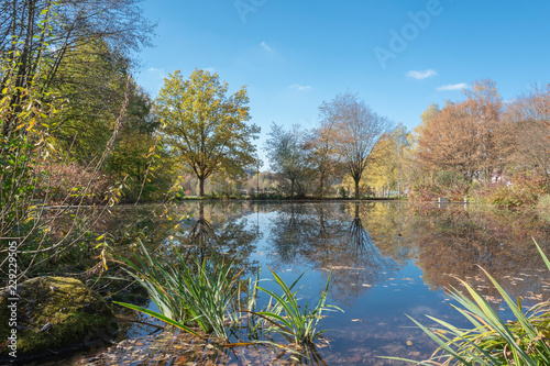 Teich in Saalhausen Sauerland im Herbst mit wunderschöner Spiegelung der Bäume