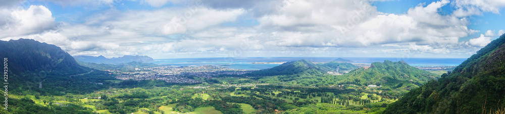 Honolulu Panorama