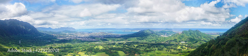 Honolulu Panorama