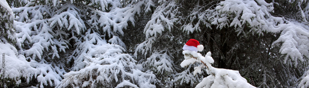 Red Santa Claus hat on the fir tree in winter forest. Christmas background. Red Santa Claus hat on the fir tree in winter forest. Christmas background.