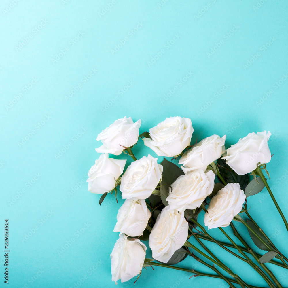 Fototapeta premium White Natural Roses Bouquet on the Colored Naked Background Holiday Concept Top View Copy space for Text Flat Lay Toned image
