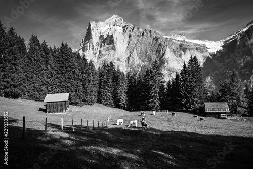 Alpen, Wandern, Berner Oberland, Wetterhorn, Grindelwald, Schweiz