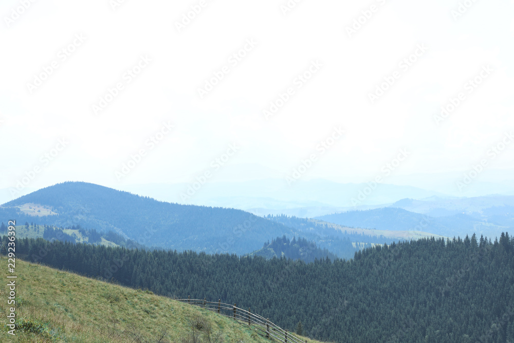 Fototapeta premium Beautiful landscape with forest and mountain slopes