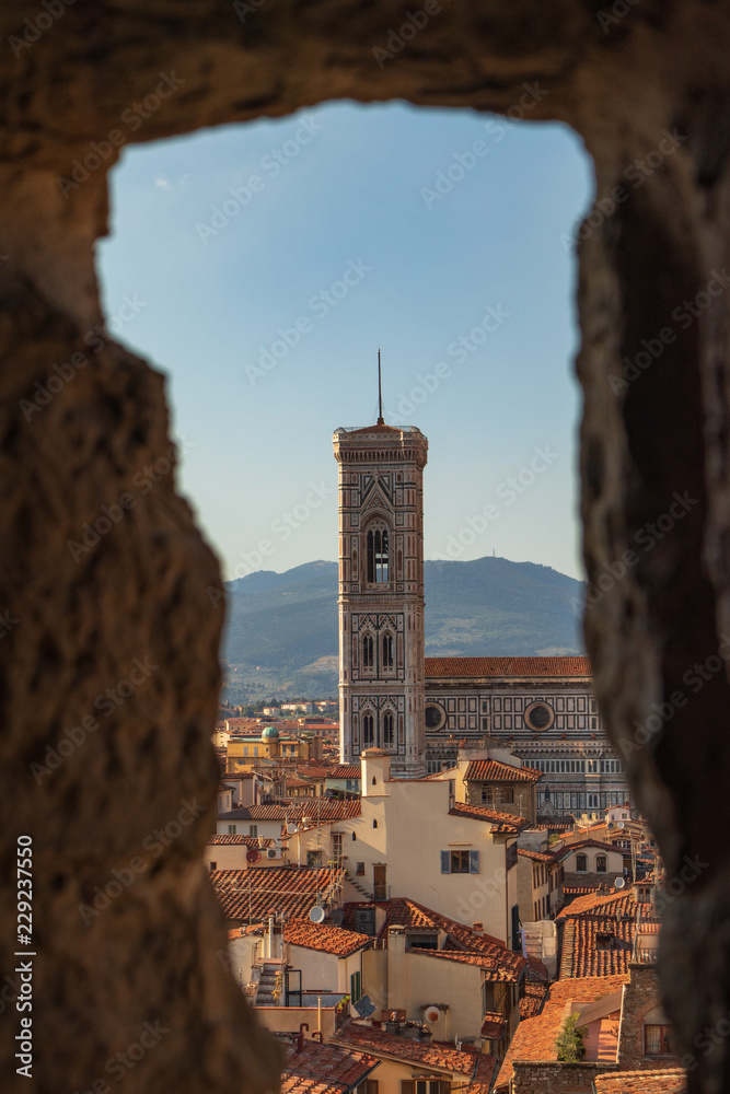 Obraz premium view of Florence italy