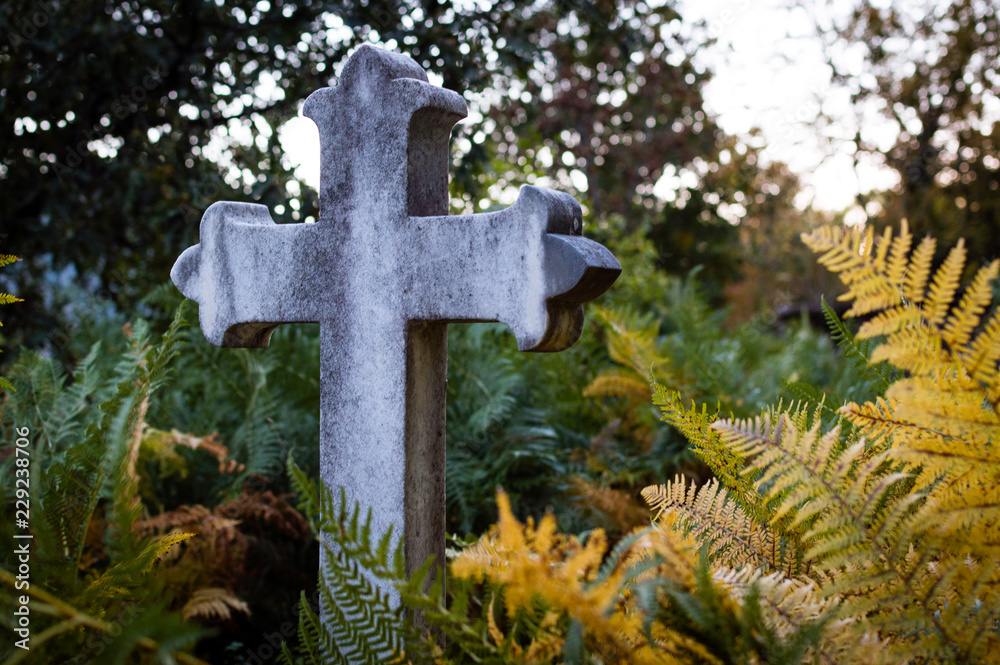 Granite cross in the middle of an abandoned cemetery, surrounded by green and yellow ferns in autumn Granite cross in the middle of an abandoned cemetery, surrounded by green and yellow ferns in autumn