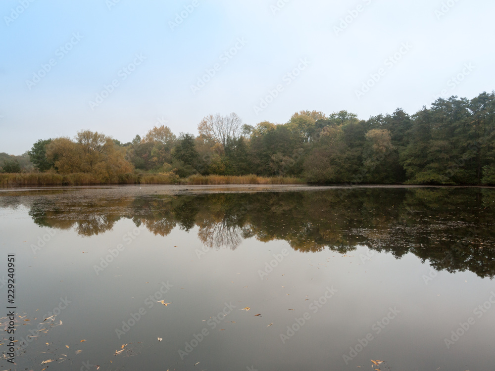 clouds over lake morning sunrise wivenhoe special scene nature landscape trees autumn fall clouds over lake morning sunrise wivenhoe special scene nature landscape trees autumn fall