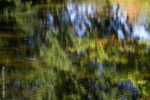 Trees reflecting on the surface of Sandy Stream in Unity Maine in the summertime.