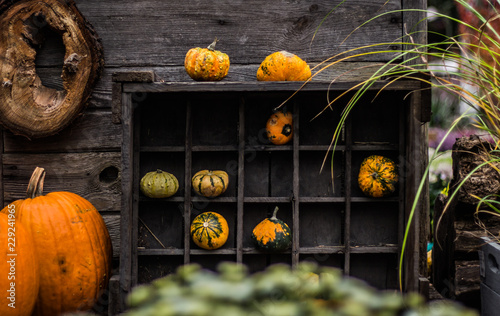 Pumpkins Halloween Food Culinary 