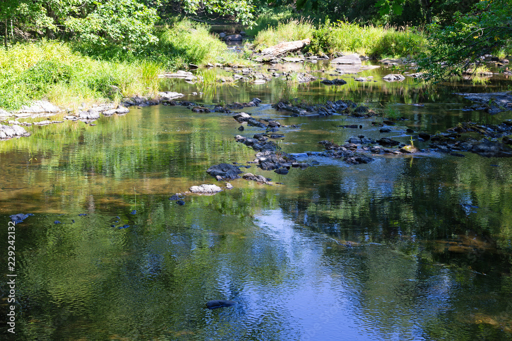 The water of Sandy Stream in Unity Maine flowing slowly in the shadows of trees with a bright riverbank in the background. The water of Sandy Stream in Unity Maine flowing slowly in the shadows of trees with a bright riverbank in the background.
