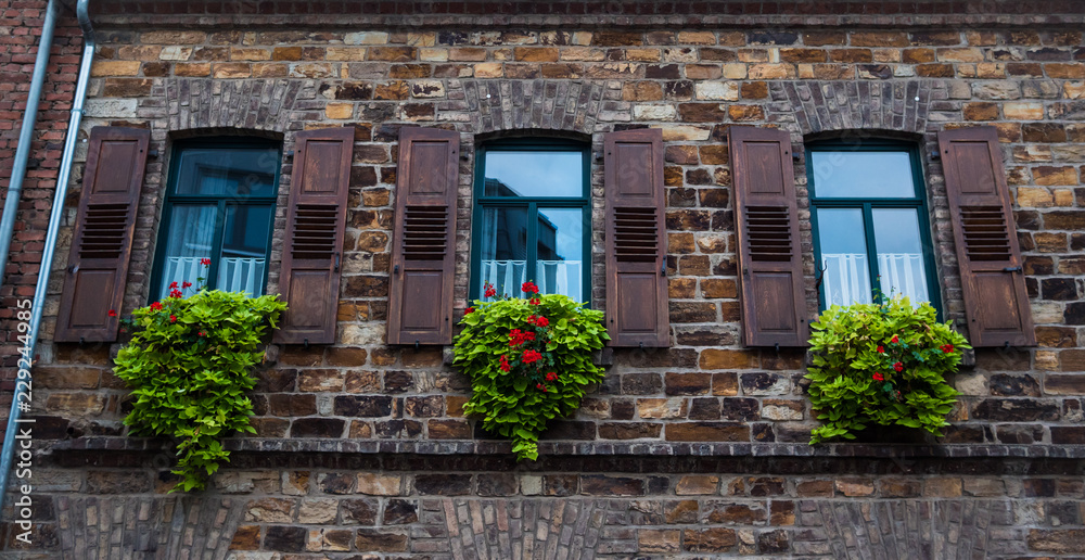 bonitas ventanas con flores y pared antigua