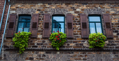bonitas ventanas con flores y pared antigua