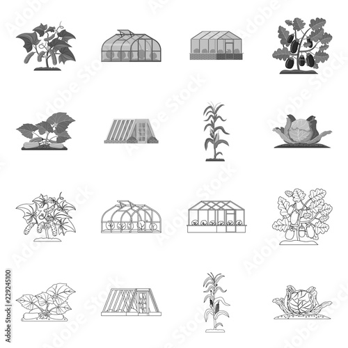 Vector illustration of greenhouse and plant sign. Set of greenhouse and garden vector icon for stock.