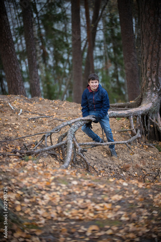 A little boy sitting on a tree root in the forest