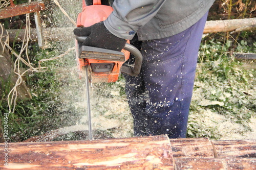 A hands sawing a chainsaw logs in the village on the background of backyard  - wood, preparing for winter