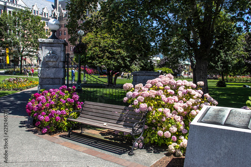 Banco de jardim photo