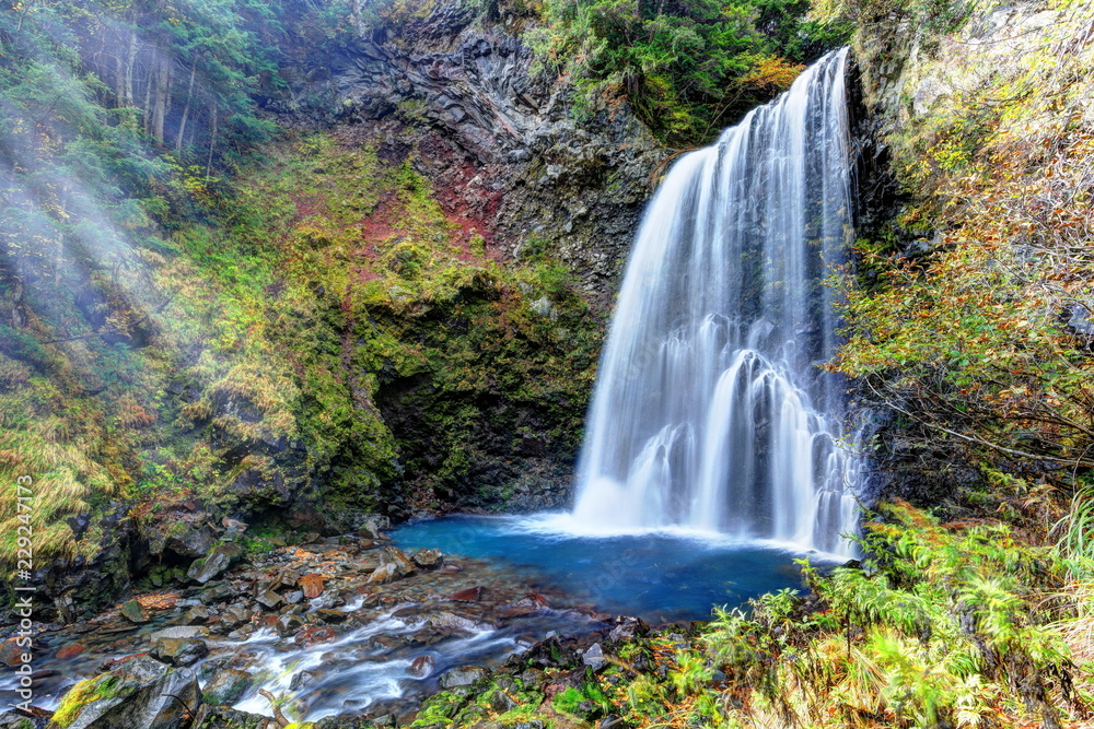 Obraz premium 秋の善五郎の滝