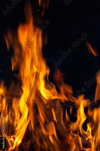 Fire  flames on a black background.