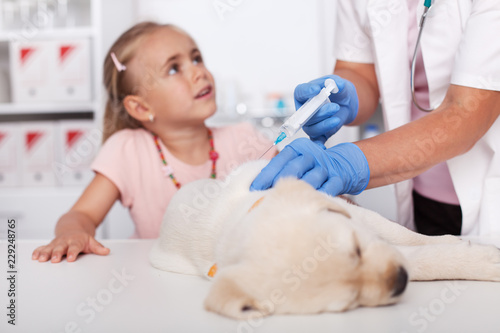 Fototapeta Naklejka Na Ścianę i Meble -  Young girl at the veterinary doctor with her puppy dog getting a vaccine