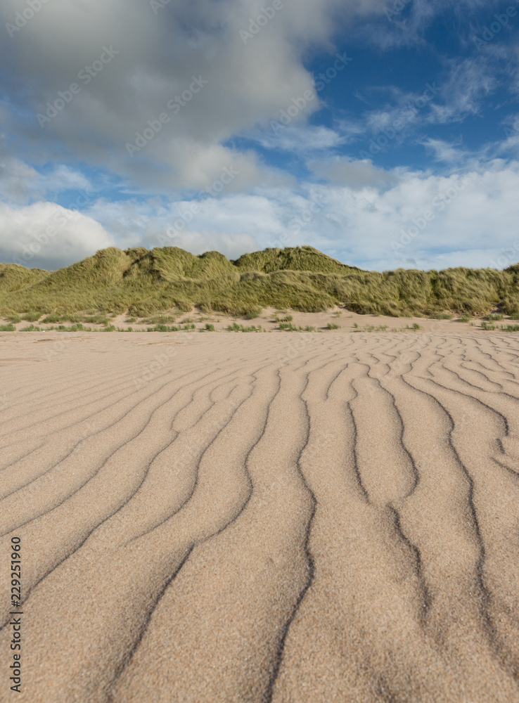 Ripples in the Sand Ripples in the Sand